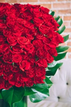 Roses For Juliet 7 Roses For Juliet -Flower Gift Shop rosesforjuliet1