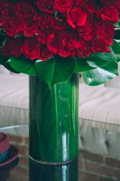 Roses For Juliet 8 Roses For Juliet -Flower Gift Shop rosesforjuliet2