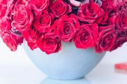 Flower Gift Shop -Flower Gift Shop round red 1 of 3