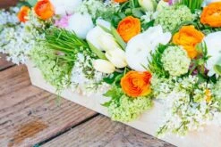 Rainbow Sherbet Spring -Flower Gift Shop rs031516 2 1