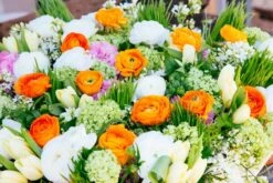 Rainbow Sherbet Spring -Flower Gift Shop rs031516 3 1