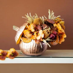 Spellbound In Autumn