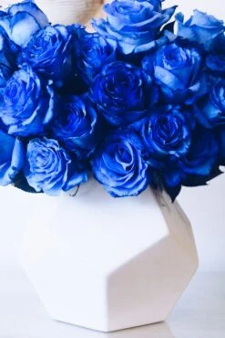 Sapphire Horizons 9 Sapphire Horizons -Flower Gift Shop sapphirehorizons1 fd6e98f6 b3be 4cc5 b279 4ec1dff83f71