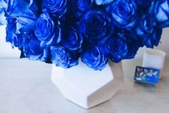 Sapphire Horizons 10 Sapphire Horizons -Flower Gift Shop sapphirehorizons2 163a073a 622f 411e 9dc6 b411162de7ed