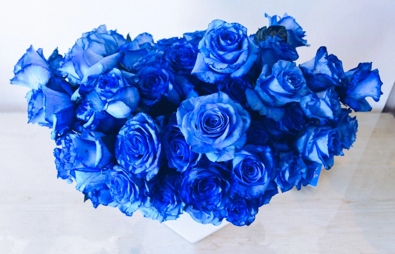 Sapphire Horizons 7 Sapphire Horizons - Image 5