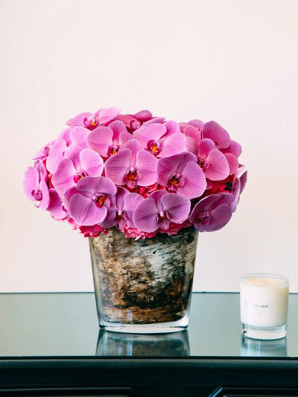 The Summer Dragonfly 6 The Summer Dragonfly - Image 4