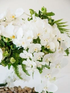 Season Of The Dove -Flower Gift Shop seasonofthedove1