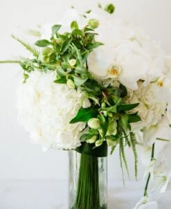 Season Of The Dove -Flower Gift Shop seasonofthedove2