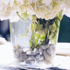 Serenity Clouds -Flower Gift Shop serenityclouds1