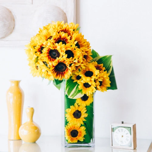 The Summer Sun Flare 3 The Summer Sun Flare