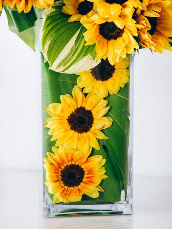 The Summer Sun Flare 7 The Summer Sun Flare - Image 5