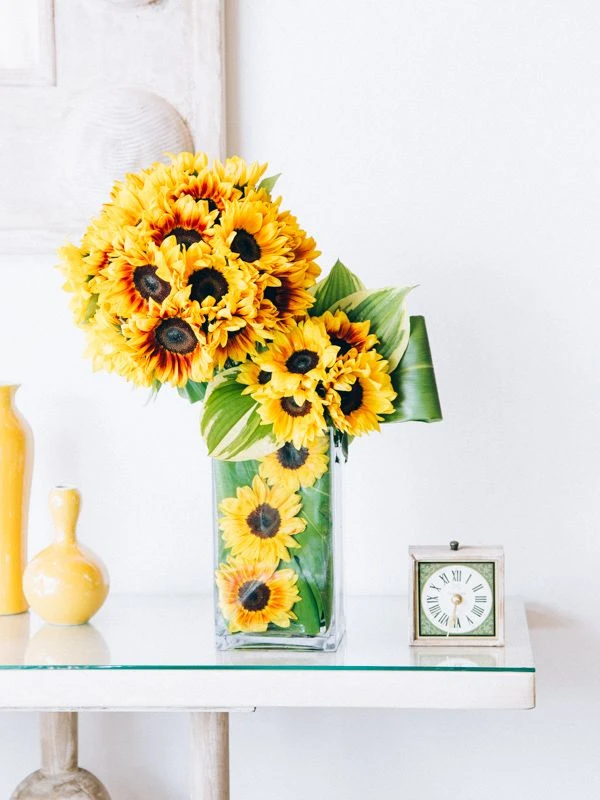 The Summer Sun Flare 6 The Summer Sun Flare - Image 4