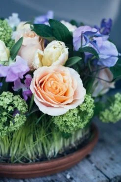 Spring's First Bloom -Flower Gift Shop sf31317 1