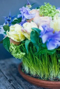 Spring's First Bloom -Flower Gift Shop sf31317 3