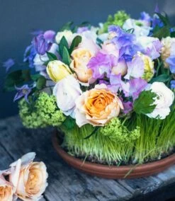 Spring's First Bloom -Flower Gift Shop sf31317 5