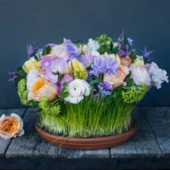 Spring's First Bloom