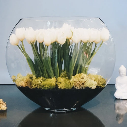 The Serene Garden 3 The Serene Garden