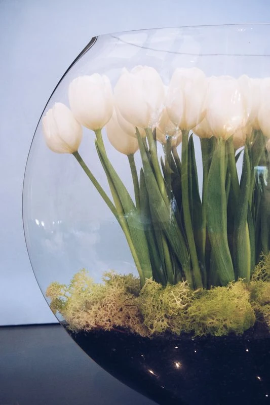 The Serene Garden 4 The Serene Garden - Image 2