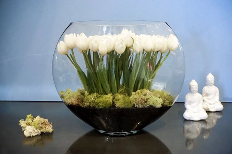 The Serene Garden 6 The Serene Garden - Image 4