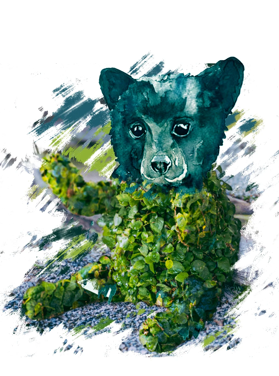 Sitting Bear Topiary 5 Sitting Bear Topiary - Image 3