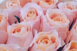 Sunday Kind Of Love -Flower Gift Shop sk40717 7