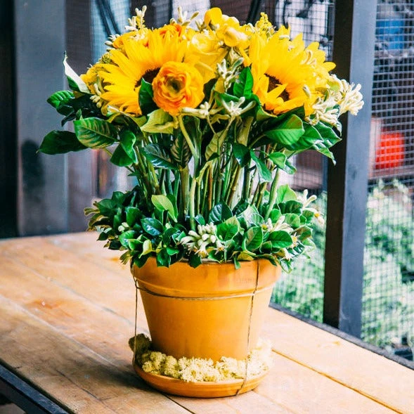 Sunflower Meadows 3 Sunflower Meadows