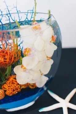 Poseidon 8 Poseidon -Flower Gift Shop smallbluecoral