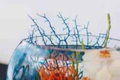 Poseidon 9 Poseidon -Flower Gift Shop smallbluecoral 4