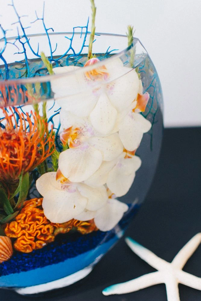 Poseidon 5 Poseidon - Image 3