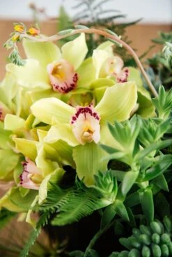 Spring Eternal -Flower Gift Shop springeternal1