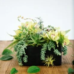 Spring Eternal -Flower Gift Shop springeternal2