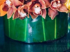 The Summer Sunset 8 The Summer Sunset -Flower Gift Shop ss052516 6