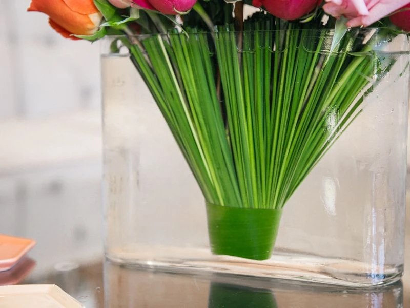 The Sunset Sorbet (Medium) 4 The Sunset Sorbet (Medium) - Image 2