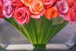 The Sunset Sorbet (Large) -Flower Gift Shop ss092916l 7