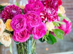 The Sweet Summer Tea 9 The Sweet Summer Tea -Flower Gift Shop st062216 5