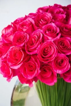 Strawberry Jam -Flower Gift Shop strawberryjam1