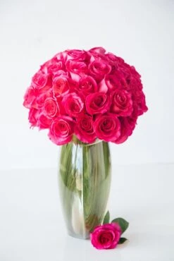 Strawberry Jam -Flower Gift Shop strawberryjam2