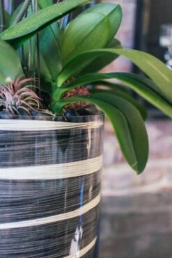 Subtle Elegance 9 Subtle Elegance -Flower Gift Shop subtleelegance2