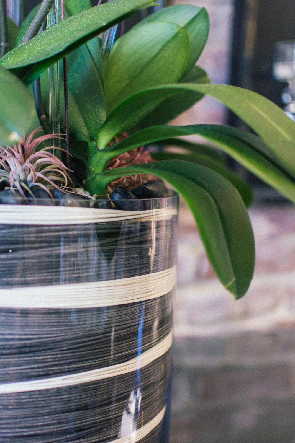 Subtle Elegance 6 Subtle Elegance - Image 4