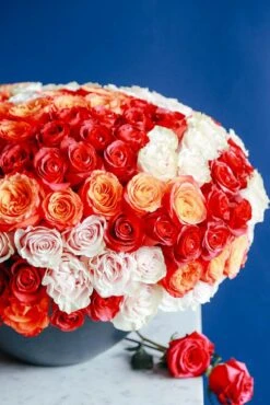 Sunrise And Stardust -Flower Gift Shop sunriseandstardust1