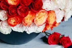 Sunrise And Stardust -Flower Gift Shop sunriseandstardust2