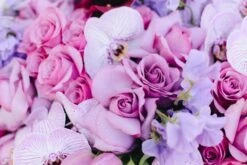 Sweet Sangria -Flower Gift Shop sweetsangria