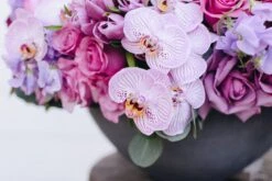 Sweet Sangria -Flower Gift Shop sweetsangria1