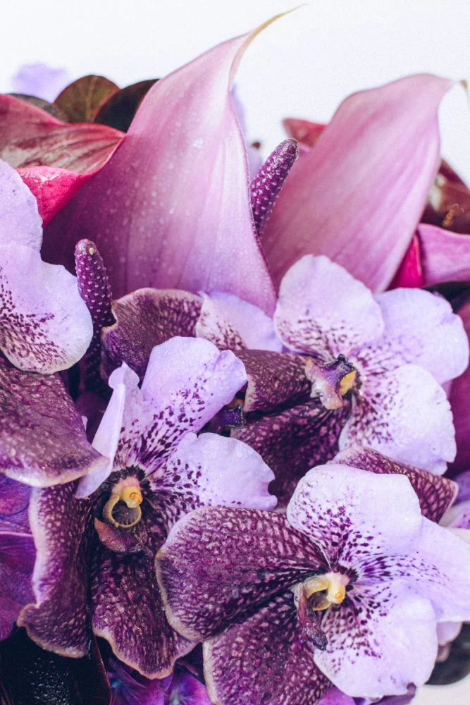 Amethyst Amulet 4 Amethyst Amulet - Image 2