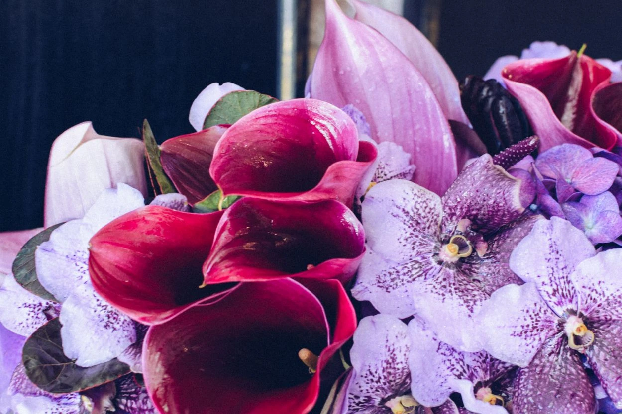 Amethyst Amulet 5 Amethyst Amulet - Image 3