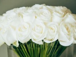 The Tibetan Clouds -Flower Gift Shop tc070716 4