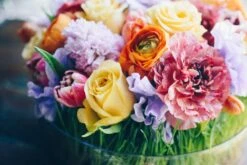 The Tangerine Countryside -Flower Gift Shop tc31317 1