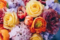 The Tangerine Countryside -Flower Gift Shop tc31317 12