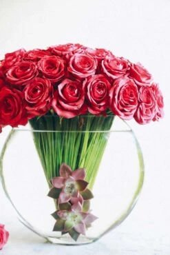 Tibet In Autumn 8 Tibet In Autumn -Flower Gift Shop tebetautumn1