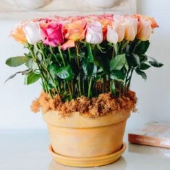 The Flower Pot 8 The Flower Pot -Flower Gift Shop terracottasunset1